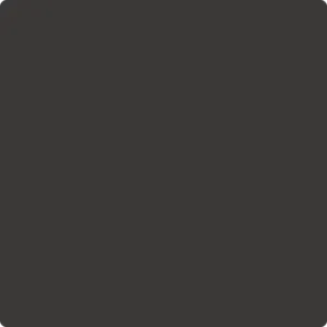 2128-10 Black Beauty