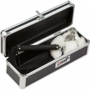 BMS - PowerBullet Lockable Sex Toy Storage Box Case