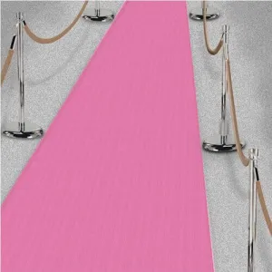 Bridal Shower - "A Day in Paris" Pink Floor Runner