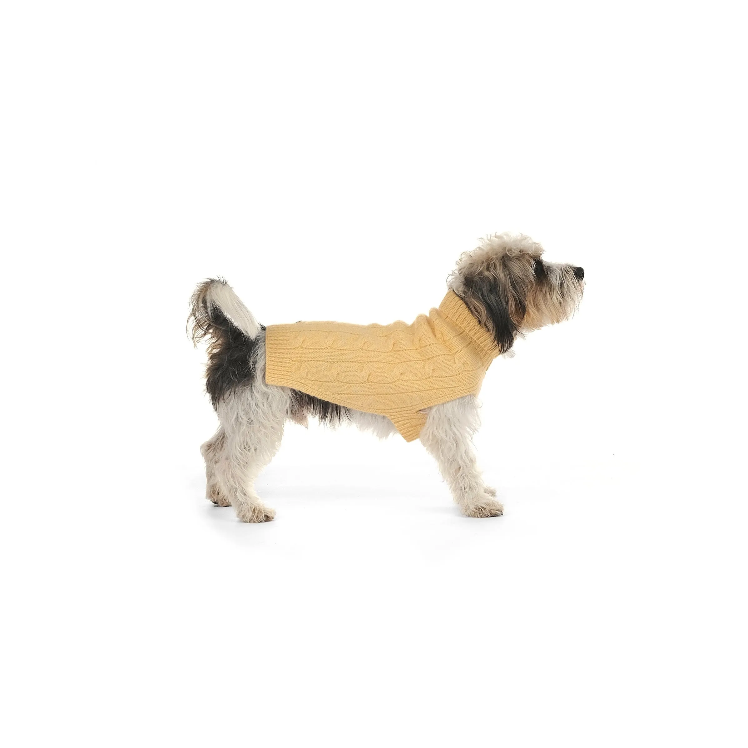 Cable Cashmere Dog Pullover