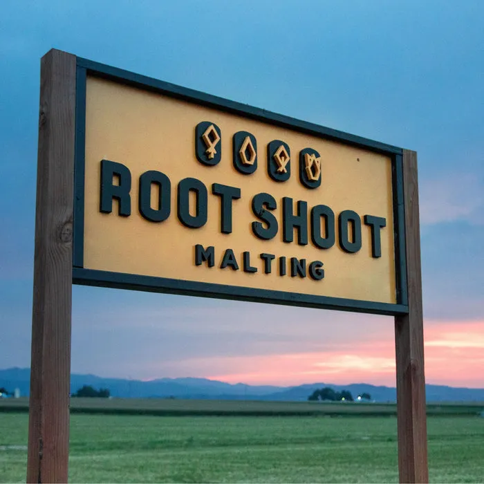 Olandsvete Wheat Malt - Root Shoot Malting