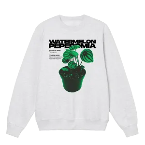 Watermelon Peperomia Crewneck
